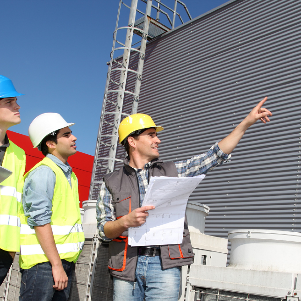audit siguranta companie